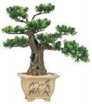Bonzai -bonsai 40cm na prezent w sklepie internetowym Extrahome.pl