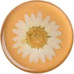 POPSOCKETS Uchwyt do telefonu Premium Pressed Flower White Daisy w sklepie internetowym karnatka.pl