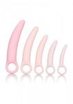 Silicone Dilator 5pcs Set Pink w sklepie internetowym eRozkosz.pl