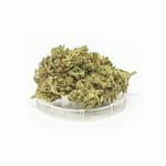 Susz konopny CBD, Kwiaty Konopi Super Lemon Haze 1g w sklepie internetowym sklepsativa.pl 