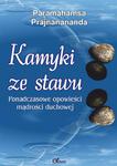 Kamyki ze stawu. Ponadczasowe opowieści o mądrości duchowej, Paramahamsa Prajnananananda w sklepie internetowym As2.pl