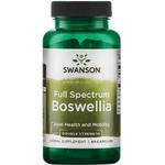 SWANSON, FULL SPECTRUM BOSWELLIA FORTE 800 mg 60 kaps. w sklepie internetowym Eko-Styl