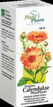 Nalewka z Nagietka, Tinctura Calendula - 100 ml, Phytopharm w sklepie internetowym Eko-Styl