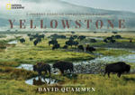 Yellowstone w sklepie internetowym Libristo.pl