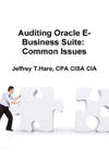 Auditing Oracle E-Business Suite: Common Issues w sklepie internetowym Libristo.pl