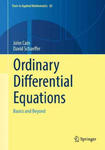 Ordinary Differential Equations: Basics and Beyond w sklepie internetowym Libristo.pl