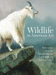 Wildlife in American Art: Masterworks from the National Museum of Wildlife Art w sklepie internetowym Libristo.pl