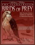 The Illustrated Birds of Prey: Red-Tailed Hawk, American Kestrel & Peregrine Falcon: The Ultimate Reference Guide for Bird Lovers, Woodcarvers, and Ar w sklepie internetowym Libristo.pl