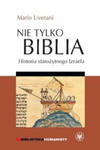 Nie tylko Biblia. Historia starozytnego Izraela w sklepie internetowym Libristo.pl