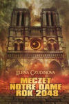 Meczet Notre Dame 2048 w sklepie internetowym Libristo.pl