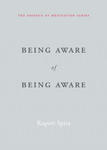 Being Aware of Being Aware w sklepie internetowym Libristo.pl