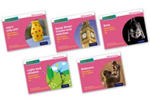 Read Write Inc. Phonics: Pink Set 3 Non-fiction books (Mixed Pack of 5) w sklepie internetowym Libristo.pl