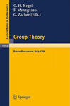 Group Theory w sklepie internetowym Libristo.pl