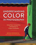 Understanding Color in Photography w sklepie internetowym Libristo.pl