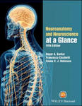 Neuroanatomy and Neuroscience at a Glance w sklepie internetowym Libristo.pl