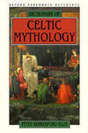 Dictionary of Celtic Mythology w sklepie internetowym Libristo.pl