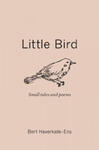 Little Bird: Small Tales and Poems w sklepie internetowym Libristo.pl