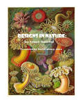 Designs in Nature: the incredible art of Ernst Haeckel w sklepie internetowym Libristo.pl