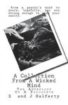 A Collection From A Wicked Mind: The Anthology Of A Psycopath w sklepie internetowym Libristo.pl