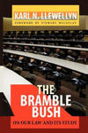 The Bramble Bush: On Our Law and Its Study w sklepie internetowym Libristo.pl