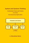 System and Systems Thinking - Fundamental Theory and Practice: (Core Book) w sklepie internetowym Libristo.pl