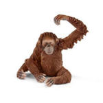 Schleich Orang-Utan Weibchen, Kunststoff-Figur w sklepie internetowym Libristo.pl