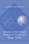 Lectures on the Infrared Structure of Gravity and Gauge Theory w sklepie internetowym Libristo.pl