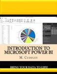 Introduction To Microsoft Power BI: Bring Your Data To Life! w sklepie internetowym Libristo.pl