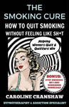 The Smoking Cure: How To Quit Smoking Without Feeling Like Sh*t w sklepie internetowym Libristo.pl