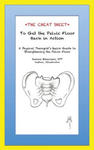 The Cheat Sheet to Get the Pelvic Floor Back in Action: A Physical Therapist's Quick Guide to Strengthening the Pelvic Floor w sklepie internetowym Libristo.pl