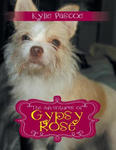 Adventures of Gypsy Rose w sklepie internetowym Libristo.pl