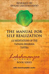 The Manual for Self Realization: 112 Meditations of the Vijnana Bhairava w sklepie internetowym Libristo.pl
