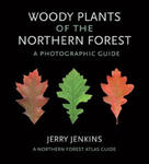 Woody Plants of the Northern Forest w sklepie internetowym Libristo.pl