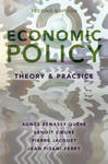 Economic Policy: Theory and Practice w sklepie internetowym Libristo.pl