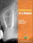 Endodontology at a Glance w sklepie internetowym Libristo.pl