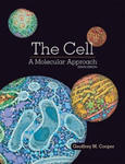 The Cell: A Molecular Approach w sklepie internetowym Libristo.pl