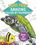 Amazing Color by Numbers Large Print w sklepie internetowym Libristo.pl