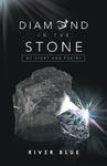 Diamond in the Stone w sklepie internetowym Libristo.pl