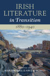 Irish Literature in Transition, 1880-1940: Volume 4 w sklepie internetowym Libristo.pl