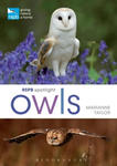 RSPB Spotlight Owls w sklepie internetowym Libristo.pl