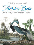 Treasury of Audubon Birds w sklepie internetowym Libristo.pl