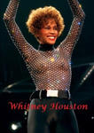 Whitney Houston w sklepie internetowym Libristo.pl