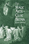 The Magic Arts in Celtic Britain w sklepie internetowym Libristo.pl