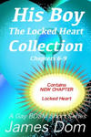 His Boy: The Locked Heart Collection: A Gay BDSM Short Story Series w sklepie internetowym Libristo.pl