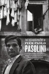 Selected Poetry of Pier Paolo Pasolini w sklepie internetowym Libristo.pl