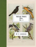 Vintage Prints: Birds: Vol. 3 w sklepie internetowym Libristo.pl