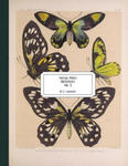 Vintage Prints: Butterflies: Vol. 5 w sklepie internetowym Libristo.pl