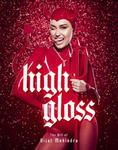 High Gloss: The Art of Vijat Mohindra w sklepie internetowym Libristo.pl