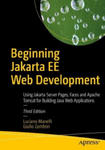 Beginning Jakarta EE Web Development w sklepie internetowym Libristo.pl
