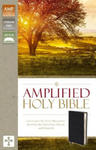 Amplified Holy Bible, Bonded Leather, Black w sklepie internetowym Libristo.pl